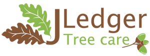 J Ledger Tree Surgery